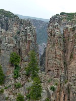 Gunnison Canyon appears from the edge as a torn maze of mostly vertical rock walls.