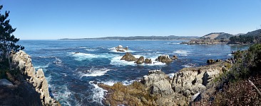 Severní Point Lobos.