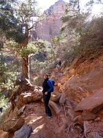 Na pohodlném chodníčku k vyhlídce na Zion Canyon nás brzy
		čekalo překvapení.