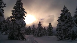 When we managed to fit in between storms, skiing was awesome.