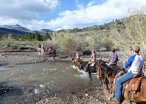 Usual small creeks were reaching the horses' bellies this year.