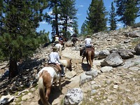 Horses must work hard in the mountains.