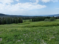 Vyhlídka na Grand Tetons, Wyoming.