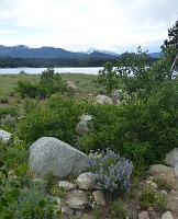 Shoshone National Forest, Wyoming.