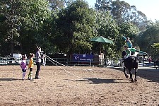 First competition on a real horse.