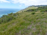 Coast of Northern California.