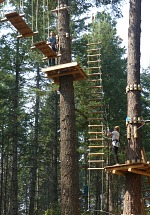 Extensive aerial adventure center Tree to Tree in Idaho.