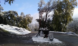 Entrance to goat stables.