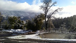 Santa Cruz Mountains.