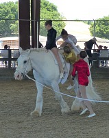 Apollo is too tall for smaller girls.