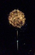 Fireworks in Bridgeport.
