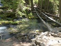 Clear water in Clearwater Creek.