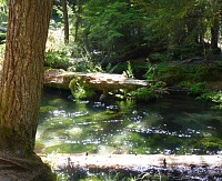 Pool above the falls.