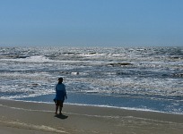 Pepe at Moss Landing.