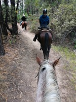 Visitors need to get on horse back.