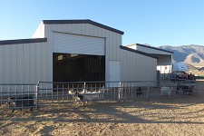At Colleen's, goats had a heated barn and a movable run at their disposal.