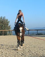 Lisa advanced to a higher team, with a taller horse.