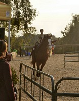 I hurried to catch a picture of Lisa riding the horse, I was almost late.