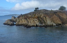 Point Lobos.