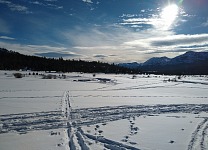 Awesome conditions for cross-country skiing.