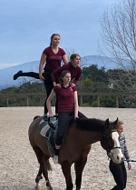 Up to tree vaulters may be on the horse at the same time during a team number.