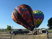 Landing in the back yard of a supportive veterinarian.