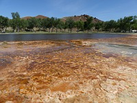 Barva řas a sinic indikují teplotu vody, oranžovým se daří při teplotách kolem 29 stupňů Celsia.