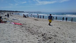 Asilomar Beach, Pacific Grove