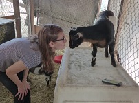 Saying good-bye to baby goats (Lisa & Pluto).
