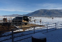 Camper top of the pickup has nice room for my goaties.