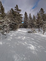 Cross-country skiing trail.