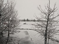 Snow came — traditionally, they say — on Mothers' Day.