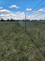 Finally we got ourselves a sturdy goat-proof fence.