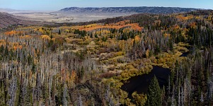 This year we had the time and energy to explore and admire our landscape with colorful trees.