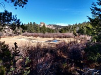 A small meadow.