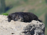 Locals enjoy sunshine.