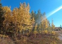 Podzimní barvy u Lake Owen.