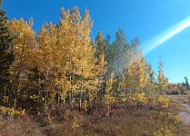 Fall colors at Lake Owen.