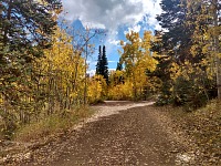 Start of my hike through my ski area looked easy.