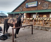 Parking in front of our favorite pub.