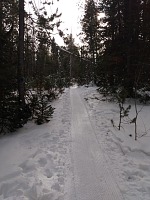 Ski area forest paths received their grooming.
