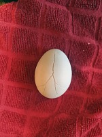 A frozen egg.