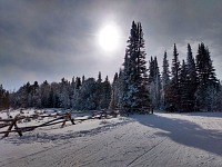 Cross-country skiing is beautiful.