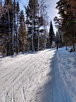 Ski-skating routes are beautifully maintained.
