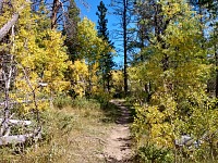 It's fall already in Wyoming.