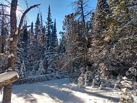 First powder fell on my Nordic track, not ready yet for skiing.