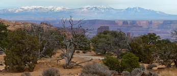 La Sal Mountains.