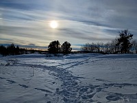 New year's walk with Lisa — rainbow rings "sun-dogs" in the frosty air.