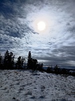 Winter's spiky sun.