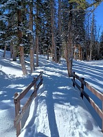 Bridge over Libby Creek.